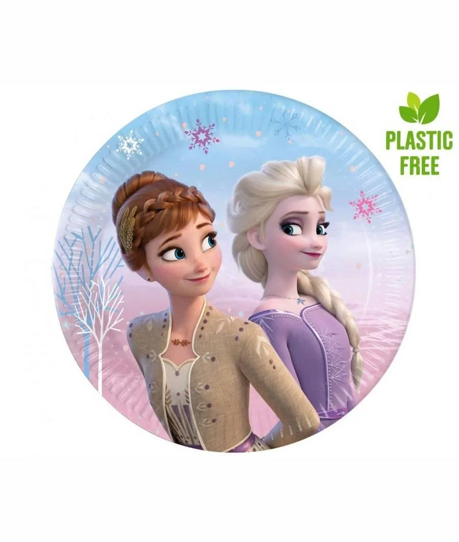 Ledo šalis vienkartiniai indai 8 vnt