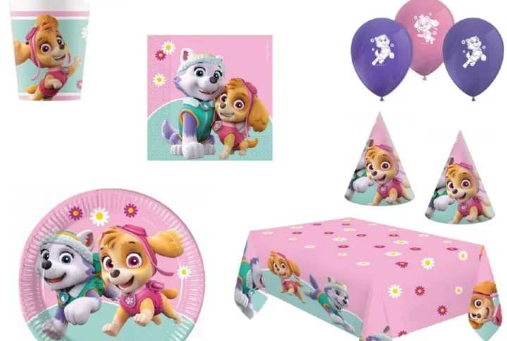 Paw-patrol-skye-rinkinys-8-asmenims
