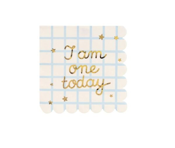 Vienkartinės servetėlės ,,I am one today” 12 vnt.