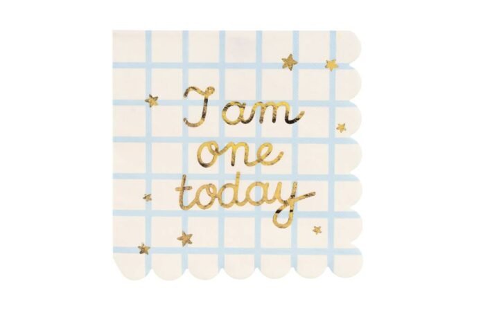 vienkartines-popierines-serveteles-i-am-one-today-12-vnt